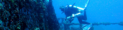 PADI Professional DiveMaster header image