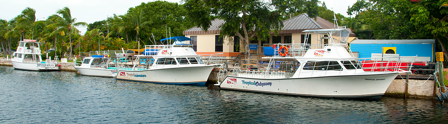 Our Dive Center in Key Largo Key Largo header image