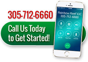 Call Rainbow Reef IDC 305-712-6660 image