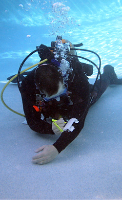 Have fun while creating your career as a DiveMaster image