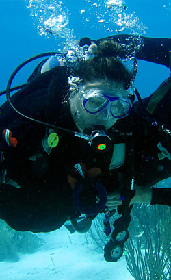 Diveheart diving image