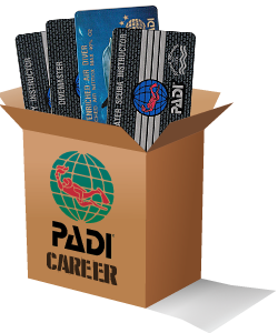 Build your OCEAN REEF  Integrated Dive Mask (IDM) PADI diving career with our package builder image