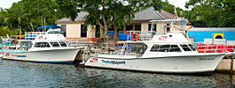 Our PADI IDC dive center in Key Largo photo