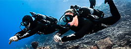 Recreational Avelo Diver header image