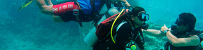 DiveHeart Adaptive Dive Buddy header image