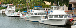 PADI 5 Star CDC in Key Largo photo