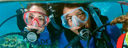 Diving testimonials in Key Largo photo