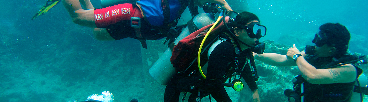  Key Largo header image