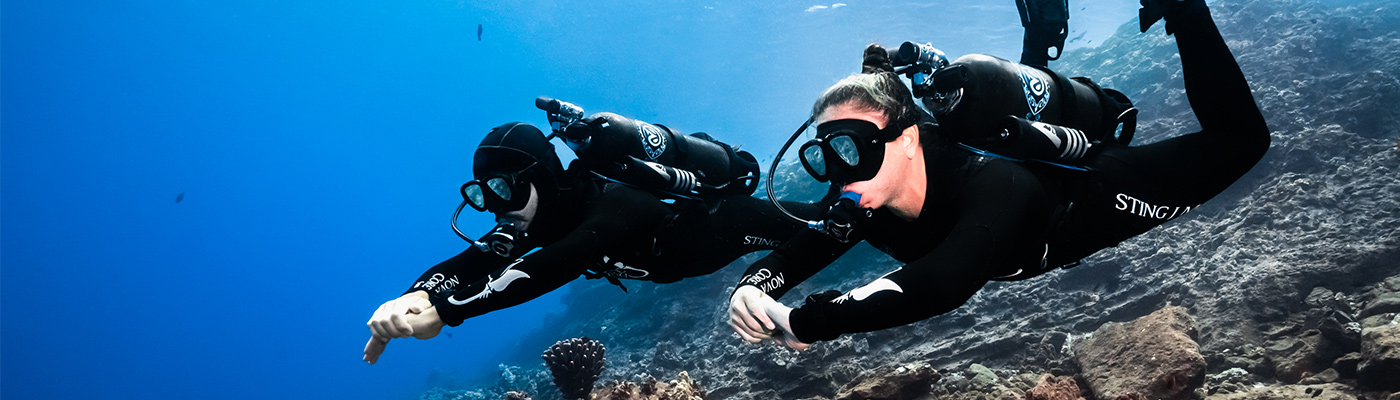 Avelo Dive Specialty Key Largo header image