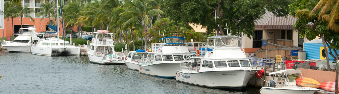 PADI Award Winning 5 Star CDC Key Largo header image