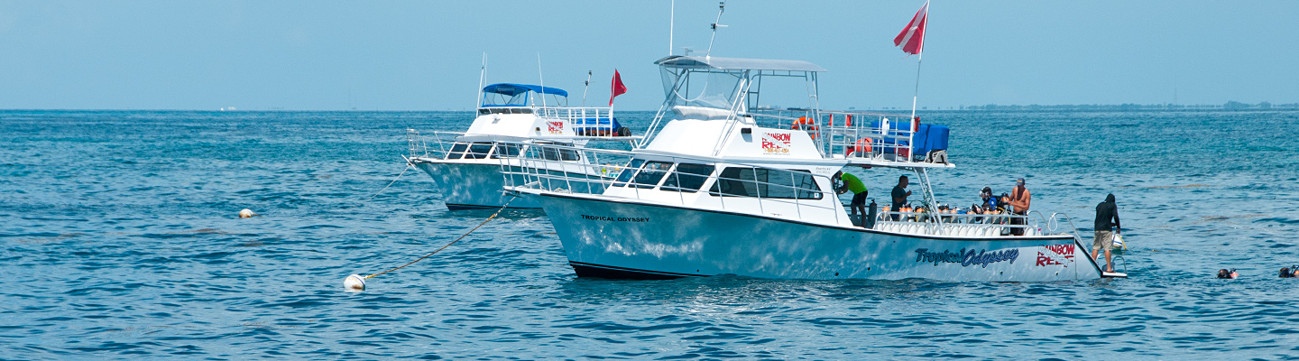 Why Choose Our PADI IDC Key Largo header image