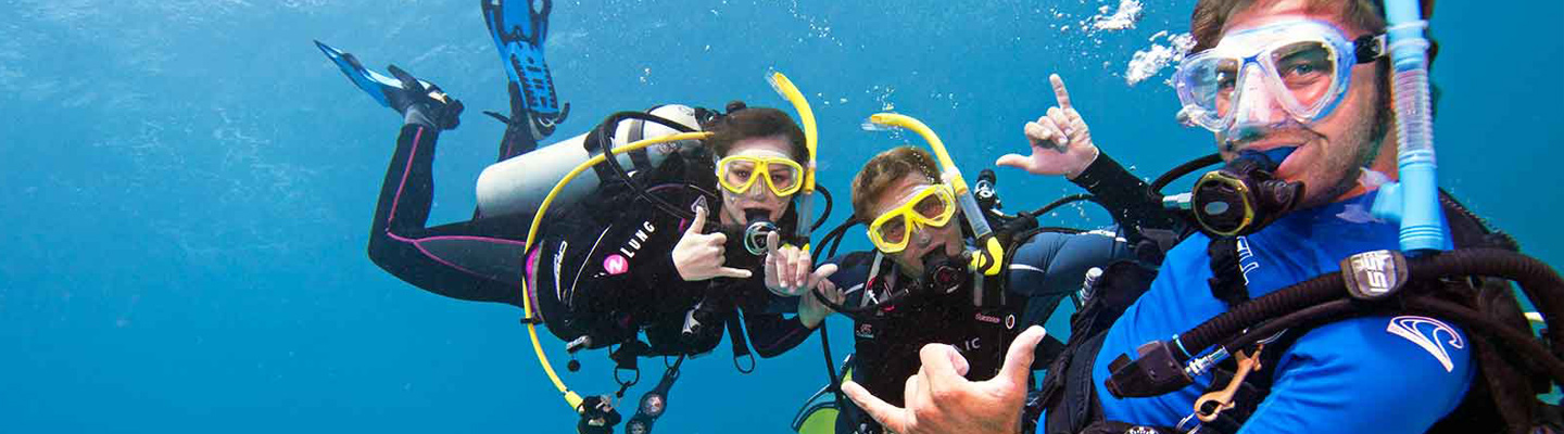 Current Dive Job Openings Key Largo header image